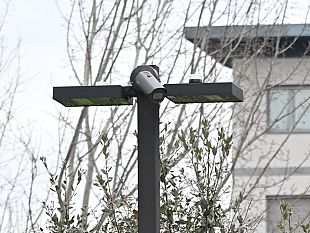 a-firenze-39-nuove-telecamere-di-ultimissima-generazione