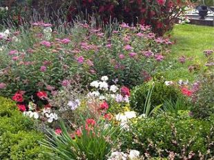 harborea-festa-dei-giardini-e-delle-piante-doltremare