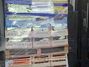 mercafir-eletto-il-nuovo-cda