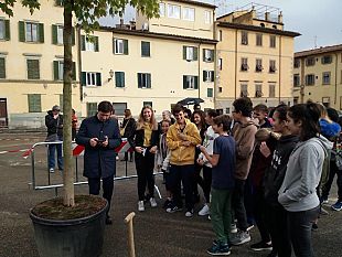 piazza-del-carmine-piantati-i-primi-alberi-saranno-23-poi-le-panchine