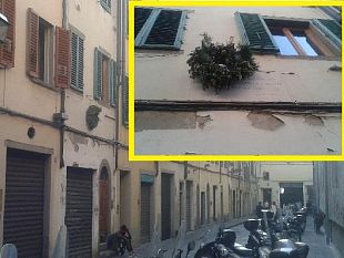 expo-2015-la-toscana-e-pinocchio-tutti-lo-vogliono-e-nessuno-ci-pensa