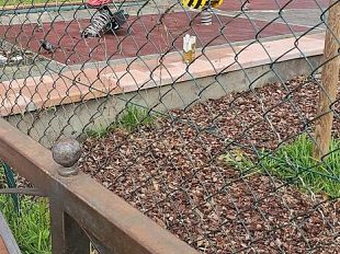 giardino-di-via-galliano-aperto-da-due-settimane-e-gia-danneggiato