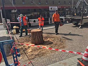 tabula-rasa-a-santa-maria-novella-costera-meno-gestire-gli-uccelli