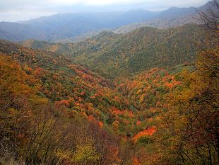autunno-un-viaggio-di-buon-cibo-e-bellezza-in-una-toscana-tutta-da-scoprire