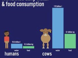 la-giornata-mondiale-dellacqua-2021