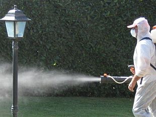 un-caso-di-dengue-in-toscana-il-quattordicesimo-del-2023