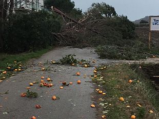 incidente-mortale-a-pescia