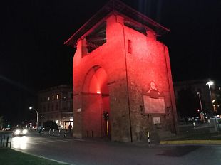 la-famiglia-di-orso-non-fatelo-morire-due-volte