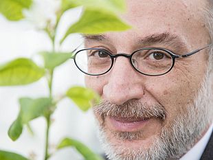 tignano-festival-un-premio-a-mancuso-lo-scienziato-delle-piante