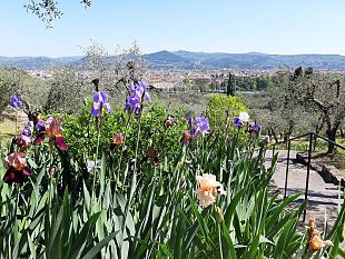 giardino-delliris-apertura-gratis-dal-25-aprile-al-20-maggio-2024