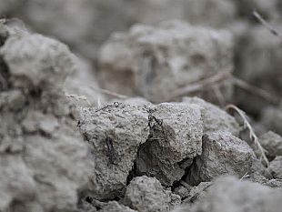 unestate-allinsegna-delleccellenza-a-rocca-di-montemassi-e-castello-di-albola