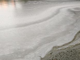 villa-vogel-schiuma-nel-laghetto-cosa-succede