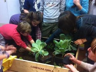 b402121545-il-premio-zini-avra-anche-una-specifica-sezione-orti-di-campagna-amica