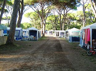 turismo-modificato-testo-unico-si-a-28-nuovi-ambiti