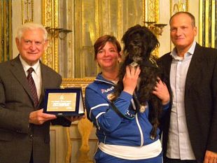 b010090122-e-di-lucca-il-cane-campione-del-mondo-di-agility-dog