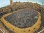 a408160953-siena-oggi-si-corre-il-palio-dell-assunta