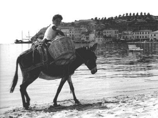 a809061432-la-spiaggia-di-marina-di-campo-splendore-e-tragedia-fra-le-due-guerre-mondiali