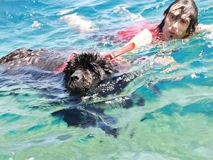 b209052145-europei-di-nuoto-2012-a-piombino-arrivano-i-cani-da-salvataggio