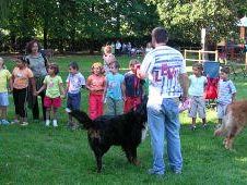 a801080031-unione-amici-del-cane-e-del-gatto-ieri-oggi-domani