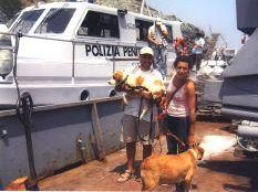 a506271332-un-progetto-di-recupero-affettivo-ed-adozione-dei-randagi-di-gorgona