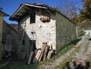 b010231805-una-cannicciaia-per-i-piccoli-produttori-di-castagne