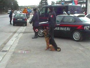 spaccio-di-stupefacenti-giro-di-vite-in-toscana
