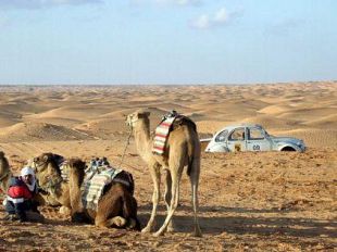 a802191343-caravan-petrol-winter-camp-2008-sulle-strade-del-mugello