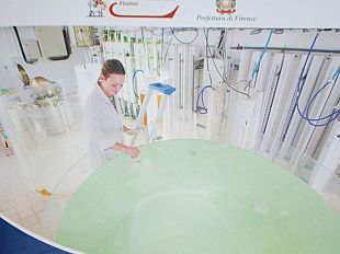 b303121431-una-guida-on-line-sul-nuovo-permesso-di-soggiorno-per-i-lavoratori-stranieri