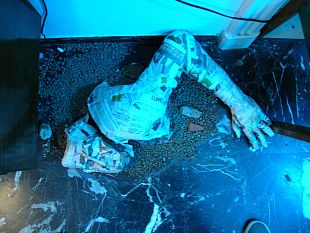 b010111413-private-flat-nel-fine-settimana-l-arte-contemporanea-in-casa