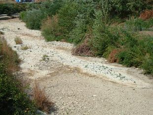 b305281925-alta-velocita-in-mugello-si-studia-il-ripristino-dei-torrenti-dopo-i-cantieri