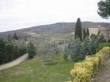 a403150930-chianti-da-scoprire-il-fine-settimana-a-casafrassi