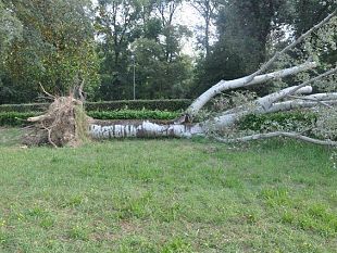 b007060828-ancora-emergenza-al-parco-delle-cascine