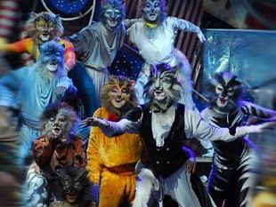 b011272327-cats-al-teatro-verdi-dal-3-al-5-dicembre