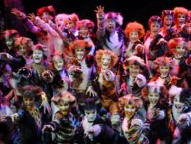 a803121927-musical-cats-dal-13-marzo-2008-inizia-la-corsa-per-l-acquisto-dei-biglietti