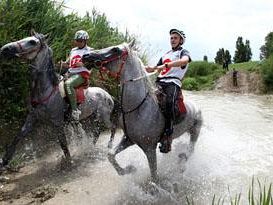 a909130942-assisi-endurance-lifestyle-2009-cavalli-e-spettacolo-internazionale