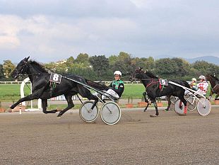 b311162126-palio-esercizi-storici-domani-al-visarno