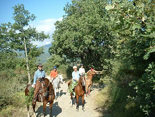 b106042054-ambiente-e-urbanistica-presentate-due-leggi-d-iniziativa-popolare