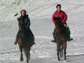 a902121411-appennino-modenese-il-viaggio-a-cavallo