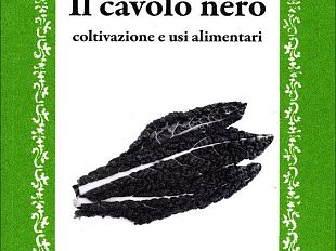 a912101920-cavolo-nero-all-accademia-dei-georgofili-domani-alle-16-30
