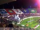 a506291323-fiorentina-il-1-luglio-la-presentazione-di-brocchi-frey-e-pasqual