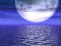 b003161751-malaluna-il-direttore-di-nove-da-firenze-presenta-il-libro-di-vincenzo-galluzzo