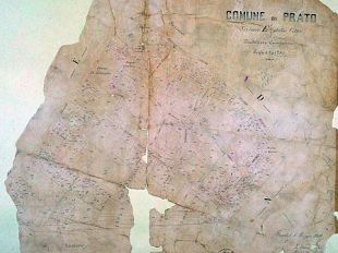 laccettazione-delleredita-tacita