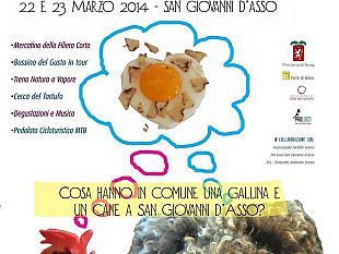b403022249-xii-festa-del-tartufo-marzuolo