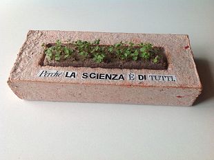 b307281904-citta-della-scienza-uno-show-di-personaggi-e-artisti-fiorentini-il-28-novembre