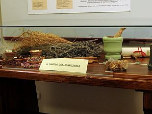 a905261336-museo-casa-di-dante-nuova-sala-dedicata-ai-medici-e-agli-speziali