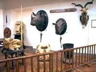 b203281629-happy-hour-con-la-storia-naturale