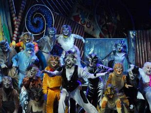 b001171437-sabato-e-domenica-il-musical-cats--in-italiano