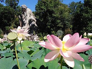 pratolino-la-riapertura-del-parco-di-villa-demidoff-a-fine-maggio