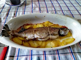 da-dove-arriva-esattamente-il-pesce-che-manguiamo