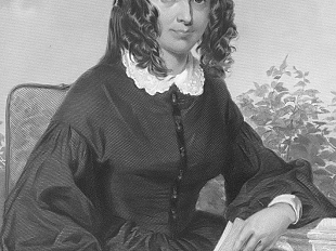 allombra-de-cipressi